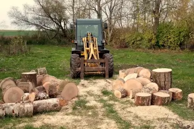 Holzklötzer - Kaminholz Rausch