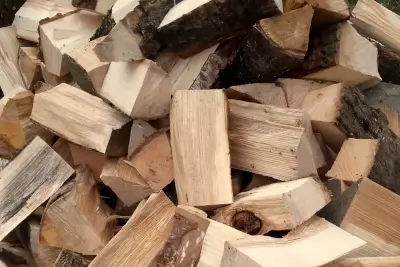 Holzscheite - Kaminholz Rausch